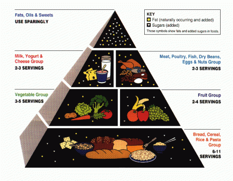 usda food pyramid 2011. The Food Pyramid was brought